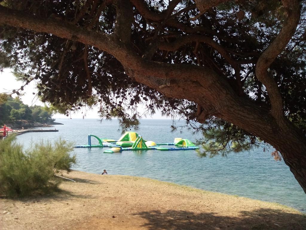 Apartament Irene